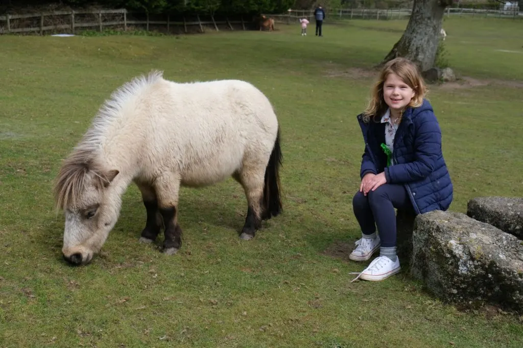 Girl and miniature pony in field