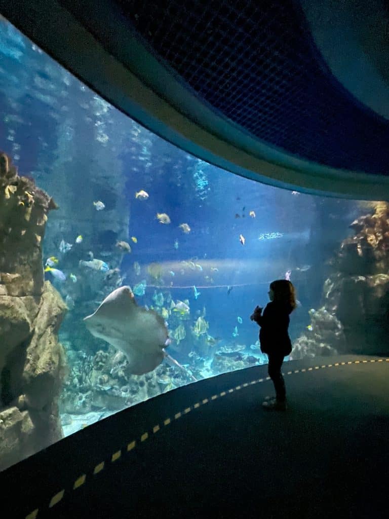 Silhouette of a child stood in front of aquarium