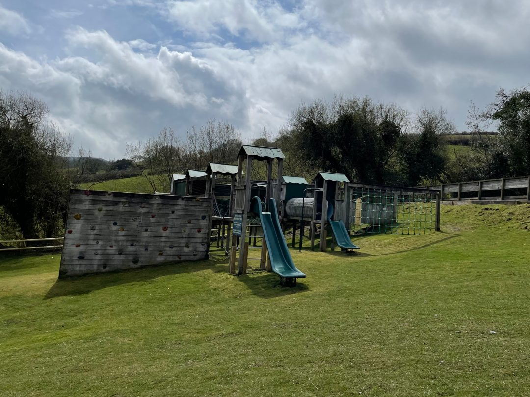Visiting the Miniature Pony Centre in Dartmoor