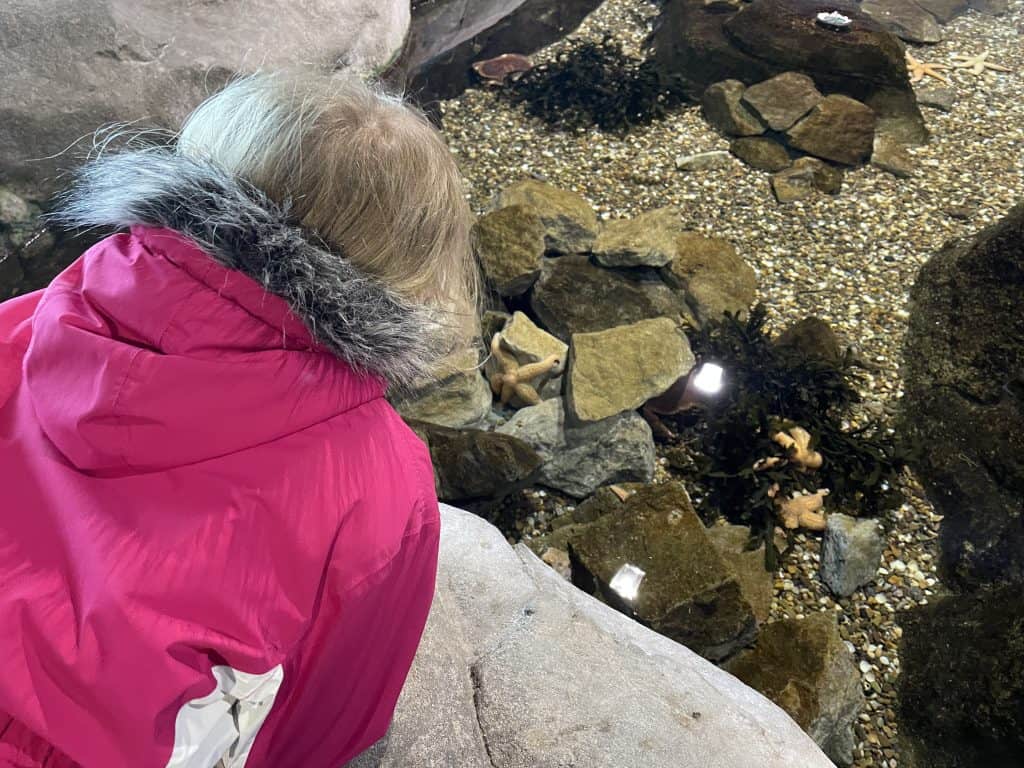 Child looking at star fish in rock pool