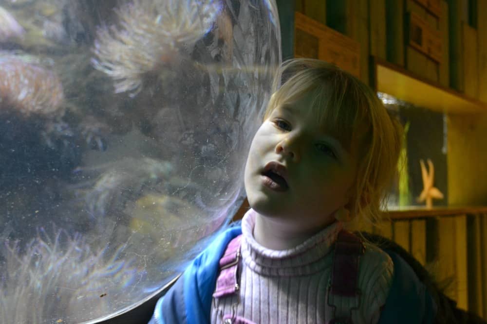 Child with ear up against glass listening to the ocean sounds