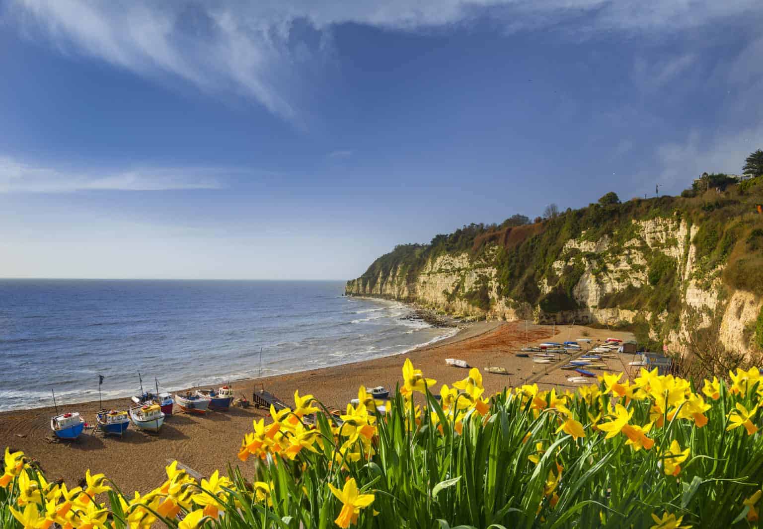 Must-see events in Devon 2023 - regattas | shows | festivals - Devon