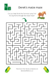 Derek's maize maze. Help our Dartmoor pony find his way through this maze activity sheet