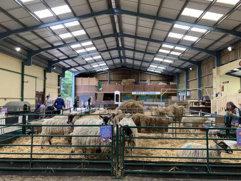 Animal shed at The Big Sheep theme park in North Devon