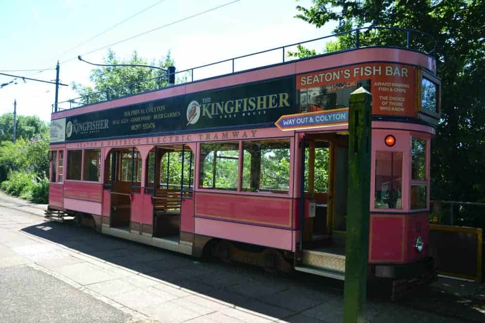 Pink Tram on Seaton Tramway