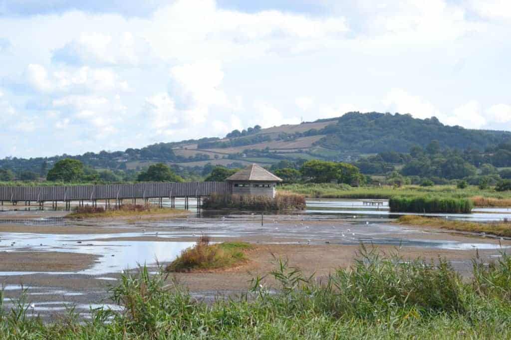 View of Seaton Wetlands nature reserve in East Devon