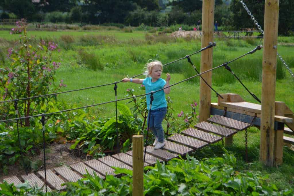 Child on wobbly bridge at the Bear Trail in East Devon