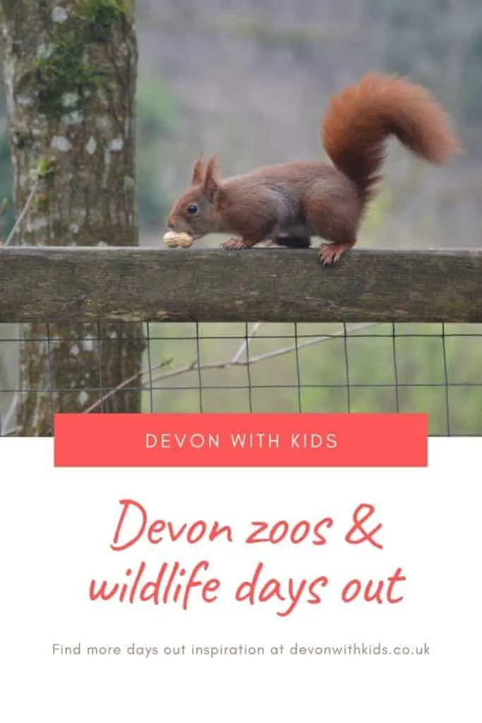 15 Devon zoos, farm parks and animal days out - Devon with Kids