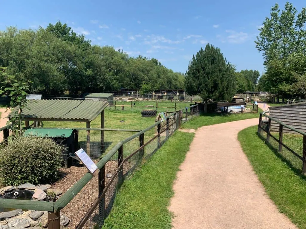 View of animal pens at Totnes Rare Breeds Farm - a day out in South Devon, England