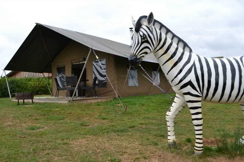 Glamping tent and zebra statue Crealy Meadows campsite in Devon