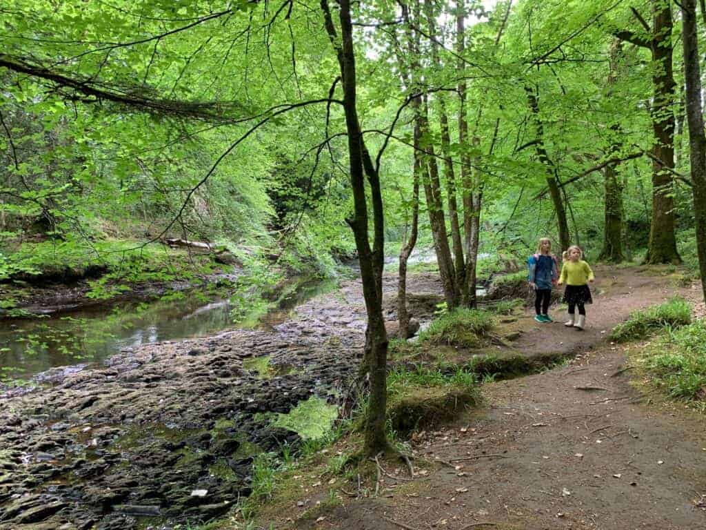 Kids walking by the River Dart in Hembury Woods near Buckfastleigh, Devon