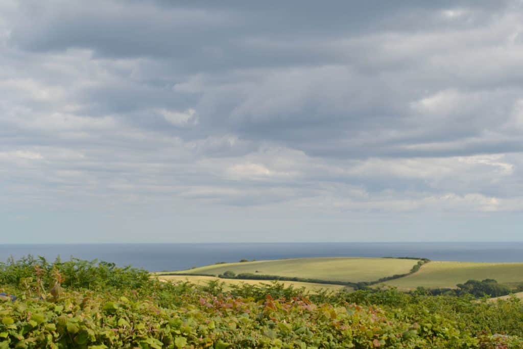 Sea view across fields at Hillhead site in South Devon