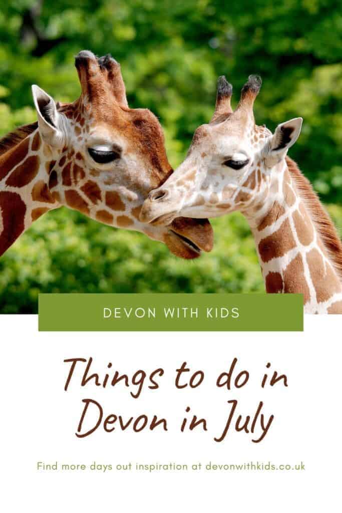 July is a brilliant month to visit Devon with family even if things are a little different right now. Here's what's open and some recommended places to visit in Devon in July 2020 including zoosz, animal parks, theme parks, country parks and beaches #Devon #England #UK #attractions #family #dayout #thingstodo #places #visit #kids #devonwithkids #beaches