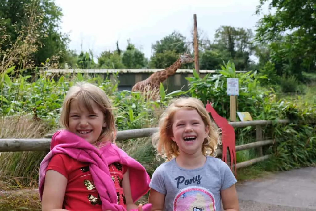 Children with giraffe at Paignton Zoo in South Devon