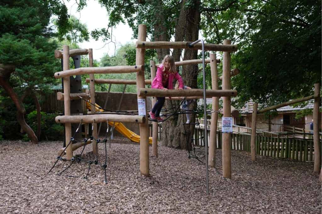 Small play area in zoo