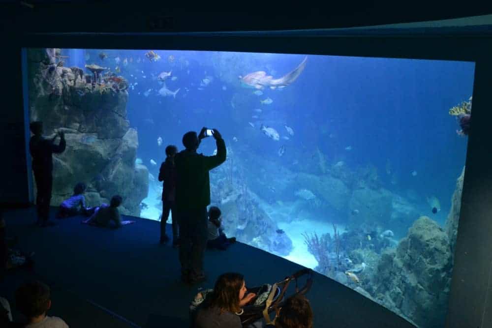 The Great Barrier Reef tank at the National Marine Aquarium in Plymouth, Devon