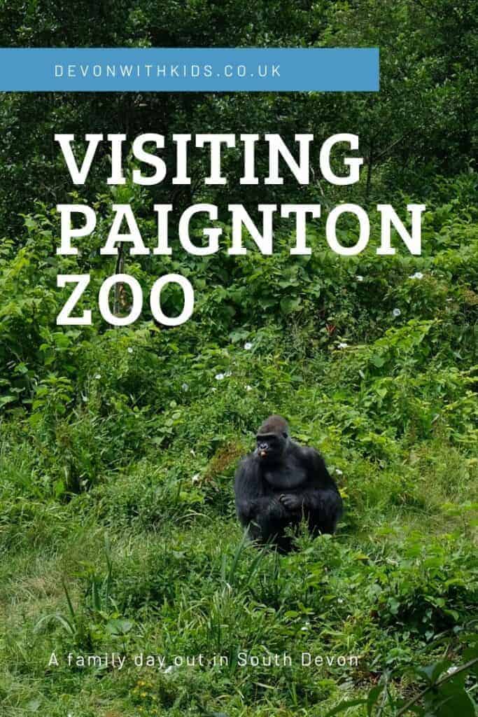 Looking for a really wild day out in the South West? Visit Paignton Zoo in South Devon to meet lions, lemus, rhinos & rheas. Here's all you need to know before you visit #DevonwithKids #zoo #Paignton #Devon #SouthWest #conservation #UK #England #daysout #thingstodo #wildlife #animals