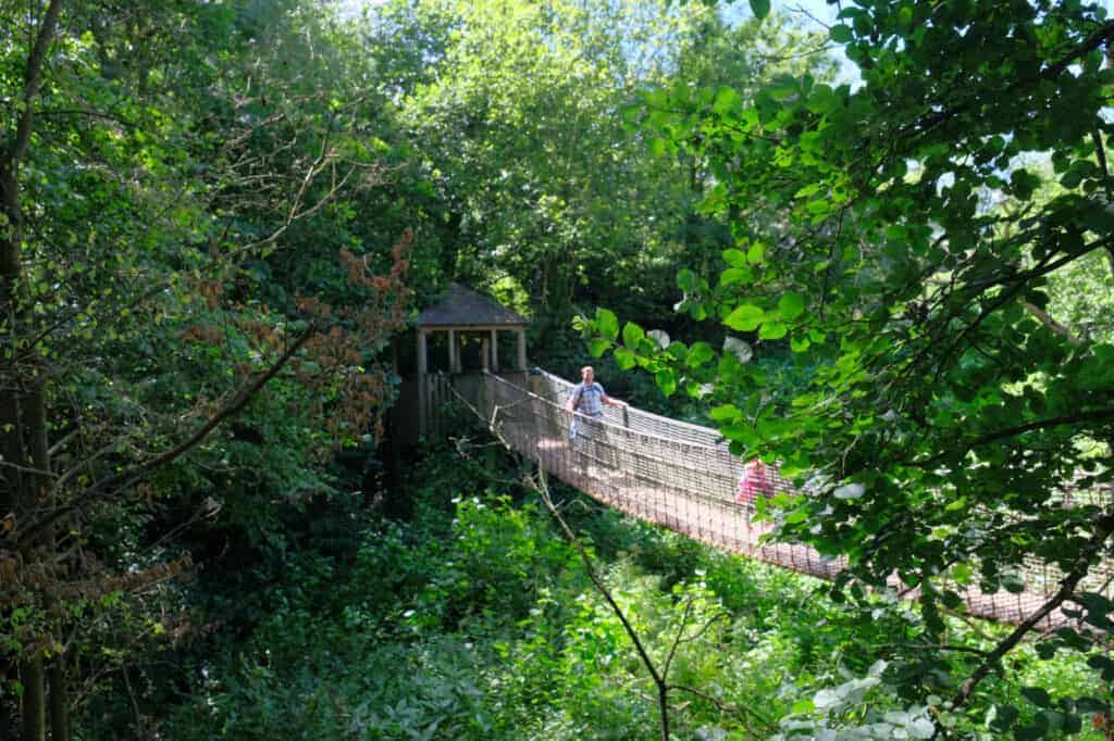 Wobbling bridge in Lemur Wood at Paignton Zoo