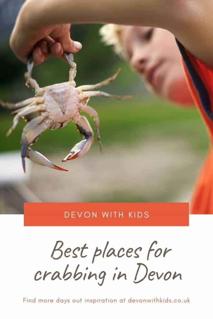 Looking for the perfect spot to go crabbing in Devon? Here's our top tips for where to drop a line in the North, East and South of the county #Devon #UK #crab #crabbing #England #best #places #visit #travel #fun #familyfriendly #DevonwithKids