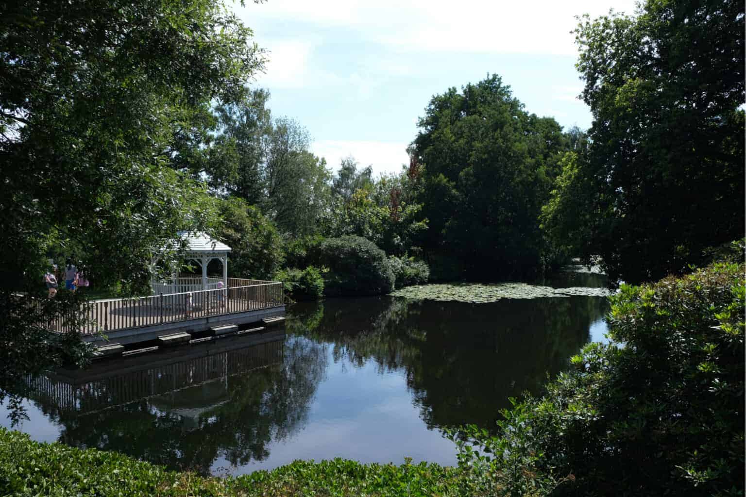 Canonteign Falls a Devon waterfall walk Devon with Kids