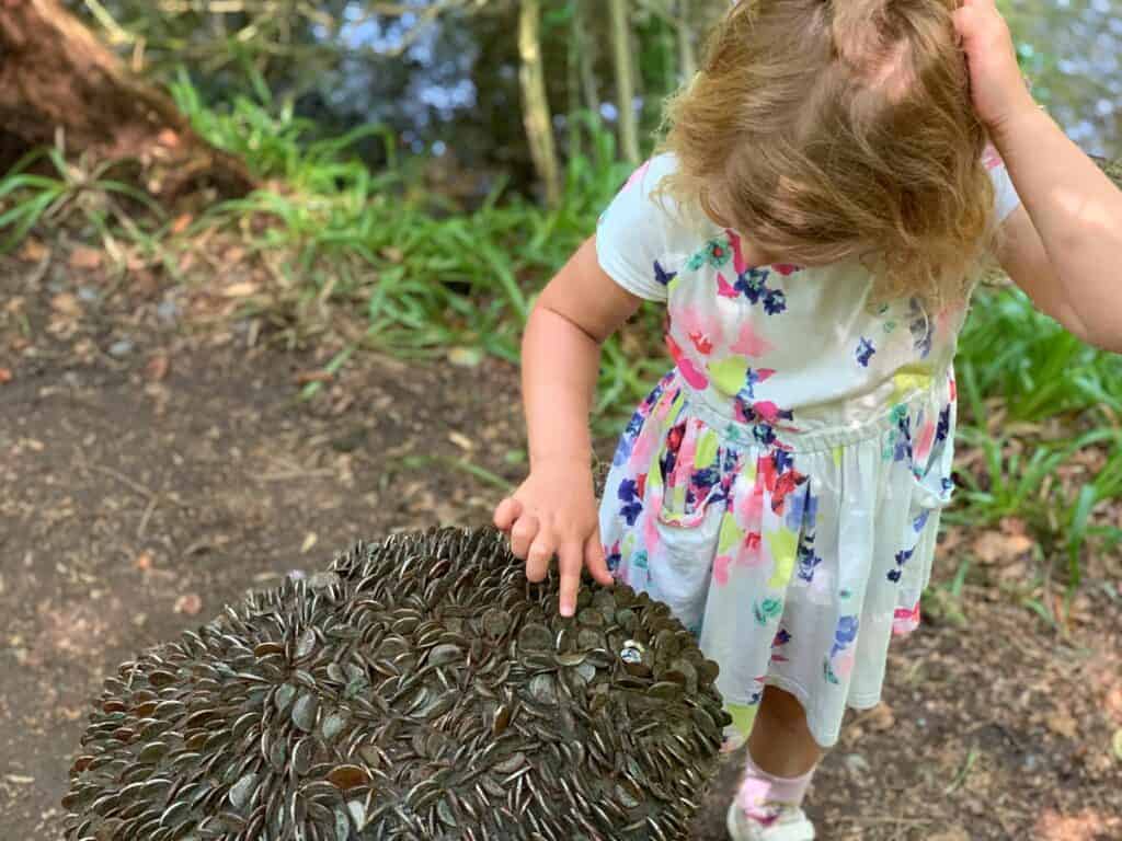 Child looking at coins hammered into tree stump