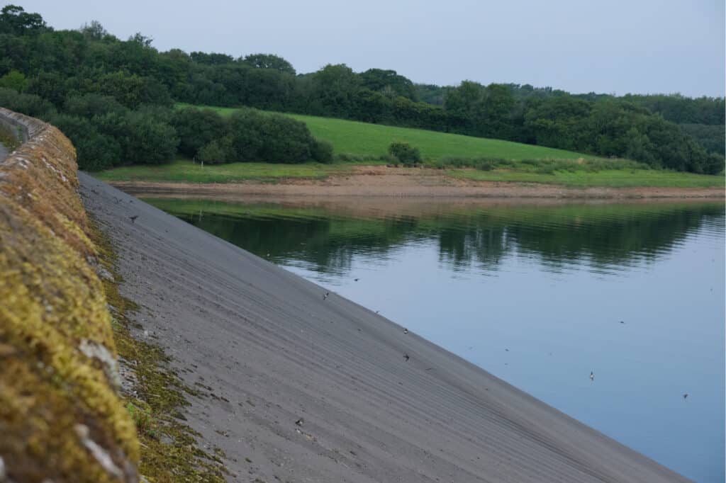 Birds flying against side of dam at Roadford Reservior in West Devon