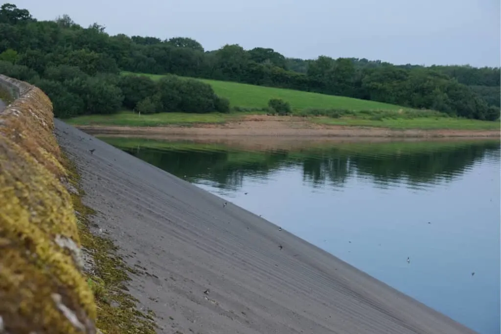 Birds flying against side of dam at Roadford Reservior in West Devon