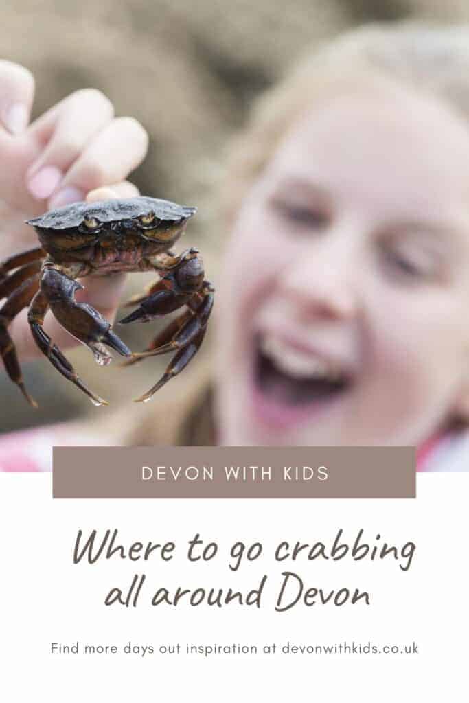 Looking for the perfect spot to go crabbing in Devon? Here's our top tips for where to drop a line in the North, East and South of the county #Devon #UK #crab #crabbing #England #best #places #visit #travel #fun #familyfriendly #DevonwithKids