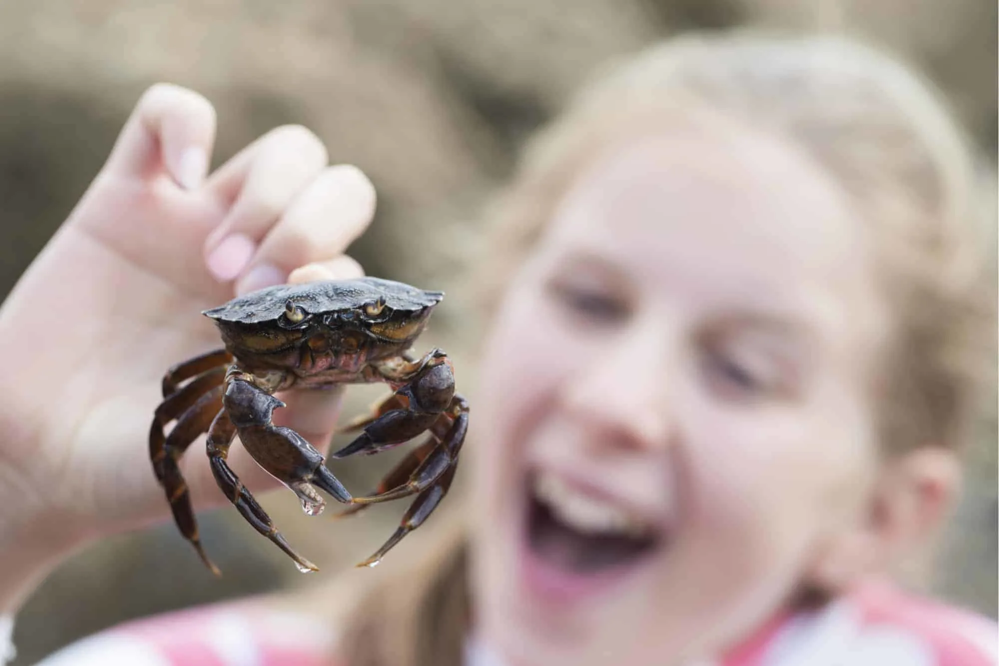 13 top spots for crabbing in Devon - Devon with Kids