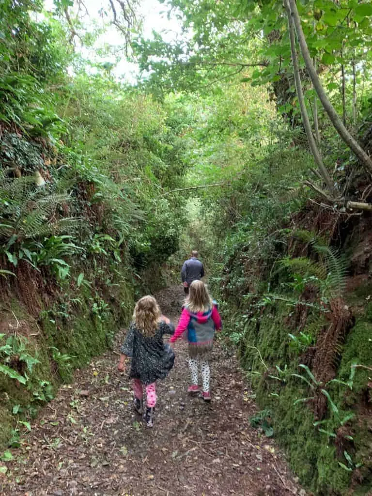 Family walking down a fern lined gully