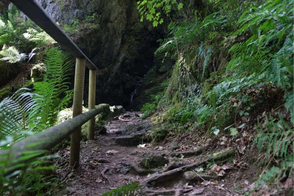 Rocky and root strewn footpath
