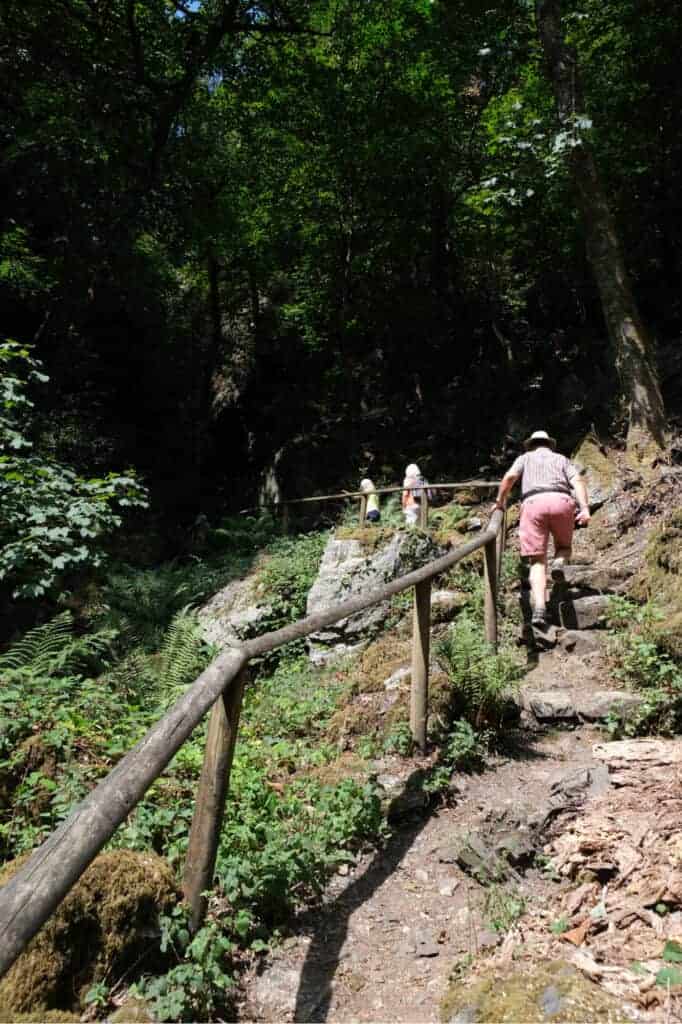 Steep section of path up to Lady Exmouth Falls