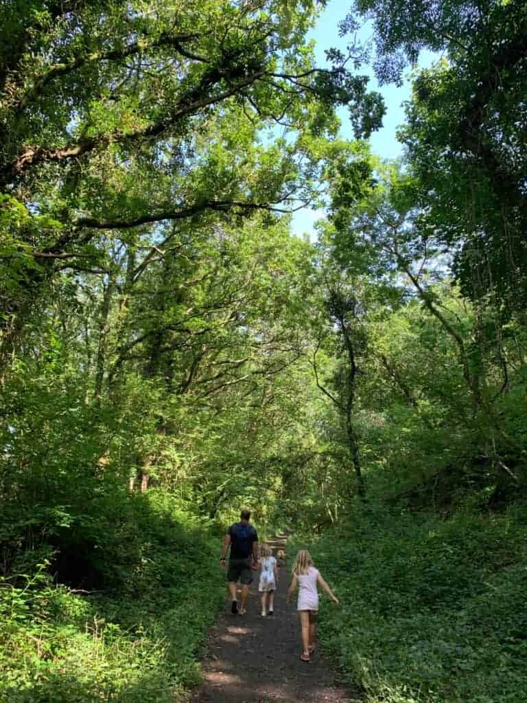 Family walking along old railway line at Lydford