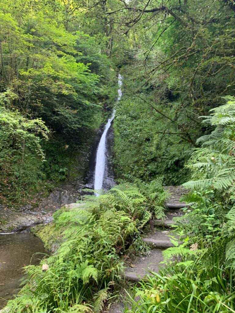 Whitelady Falls waterfall surrounded by greenery