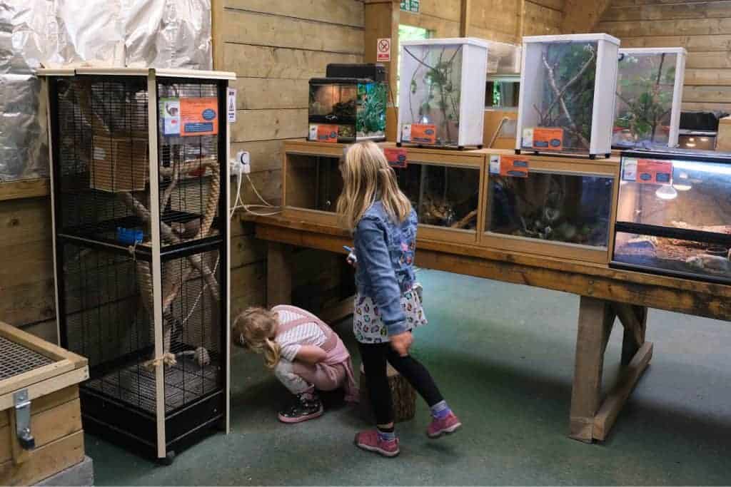 Children explore the Animal Discovery Zone at Becky Falls Devon