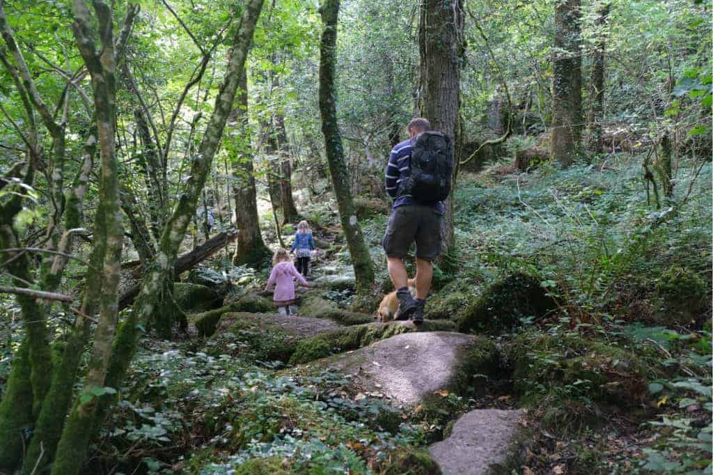 Family walking over boulders on path down Becky Falls