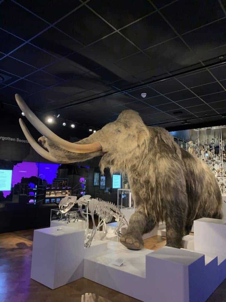 Wooly Mammoth at The Box Plymouth