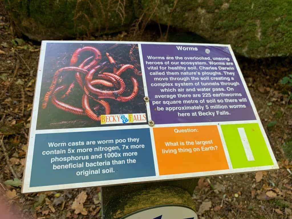 Nature trail sign