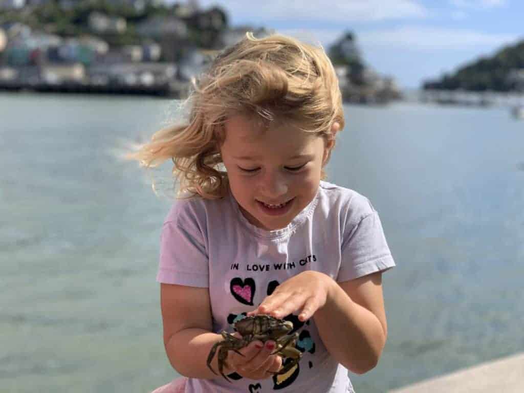 Child holding crab in South Devon