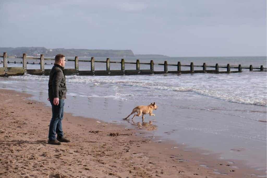 Dog on Dawlish Warren Beach