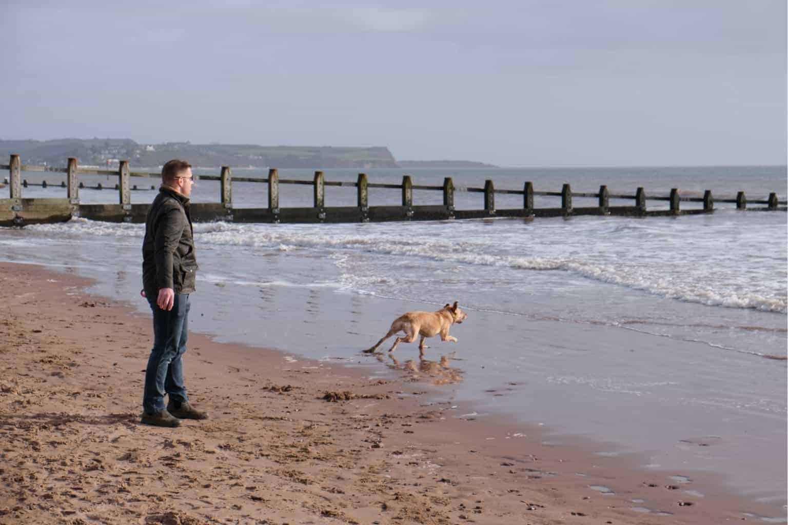 45 family & dogfriendly attractions in Devon Devon with Kids