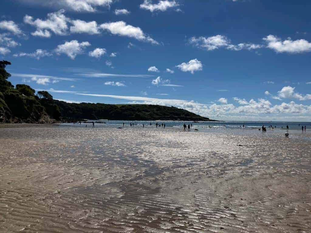 North Sands Beach in Salcombe Devon