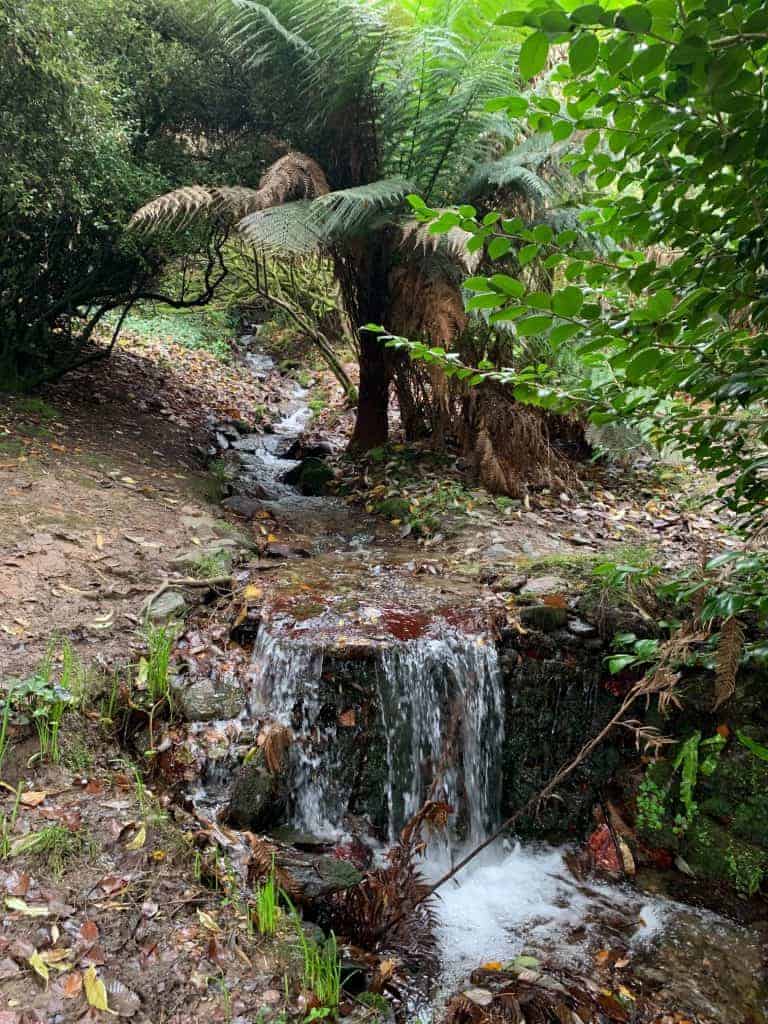 Stream running through Coleton Fishacre gardens