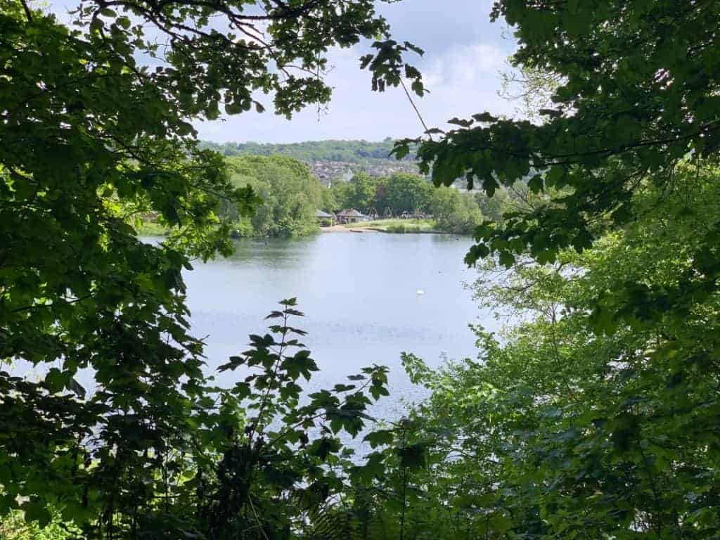 Lake at Decoy Country Park