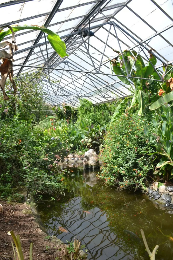 Butterfly house
