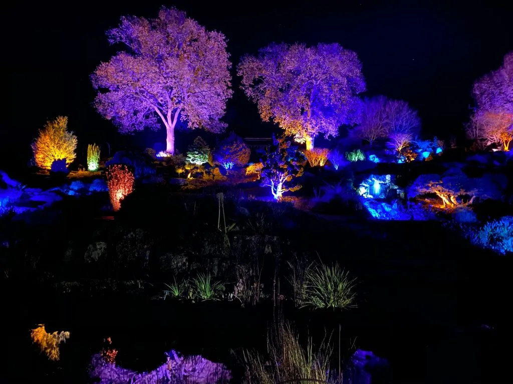 Christmas In Devon Ga 2022 Christmas In Devon 2021 - Brilliant Festive Family Events - Devon With Kids