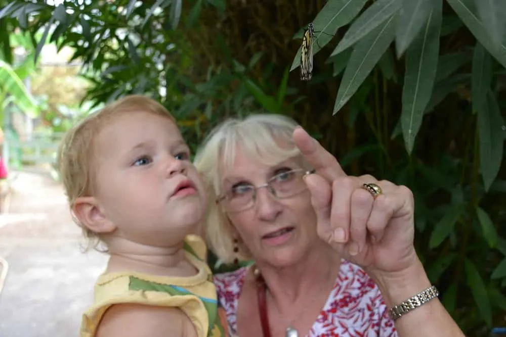 Tin Box Baby and Grandma looking at butterfly