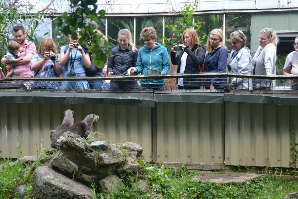 Visitors at otter enclosure