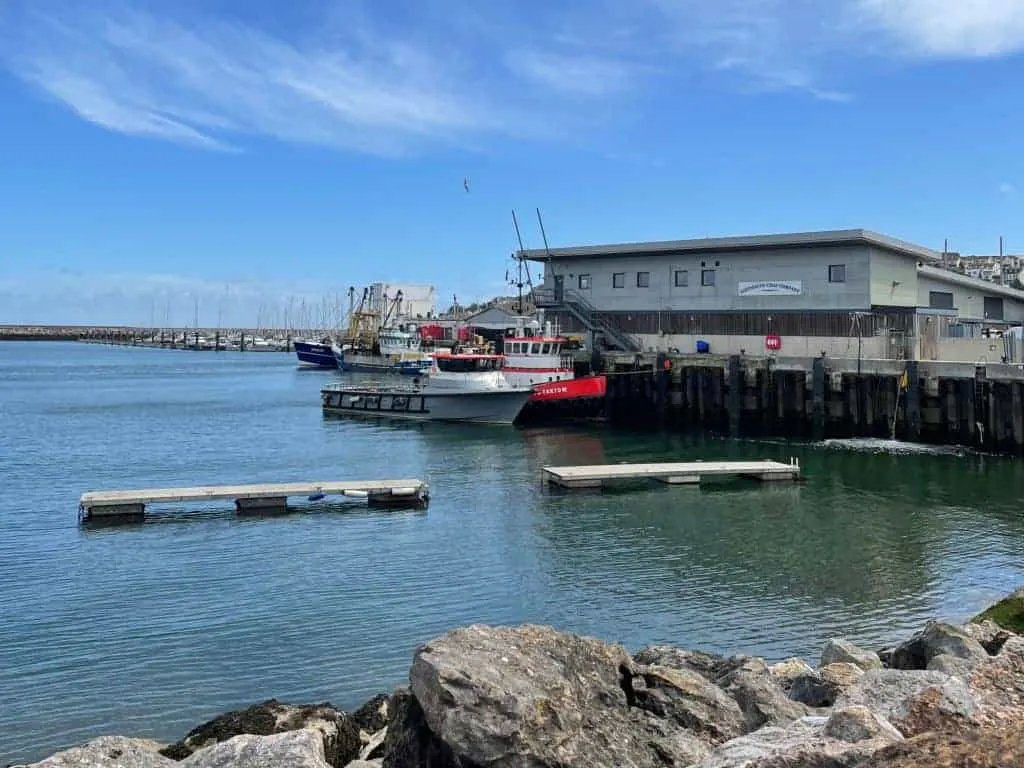 View of Brixham outer harbour and Brixham Fish Market on a sunny day