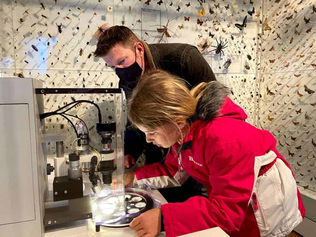 Child and parent looking at insects under a microscope
